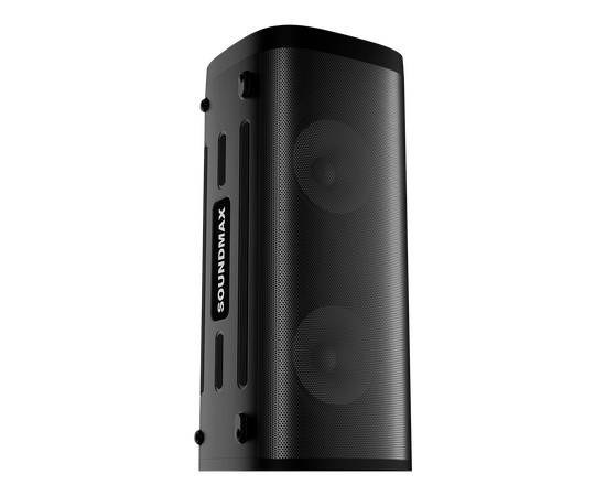  Портативная колонка SOUNDMAX SM-MS4305 черный 
