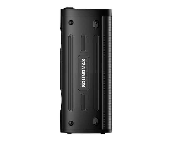  Портативная колонка SOUNDMAX SM-MS4305 черный 